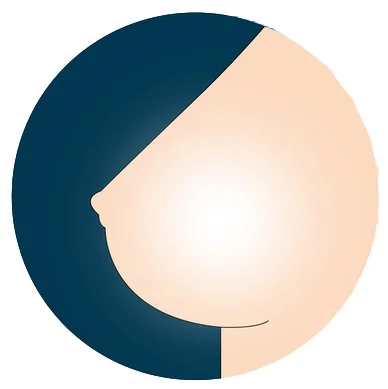 The Complete Sex Doll Breast Option Guides sex doll hollow breast